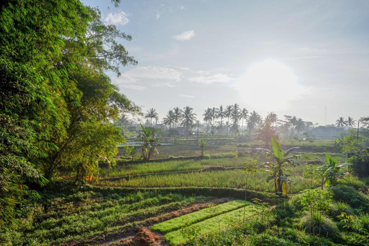 Reddoorz Syariah At Omah Sawah Ξενοδοχείο Balong  Εξωτερικό φωτογραφία